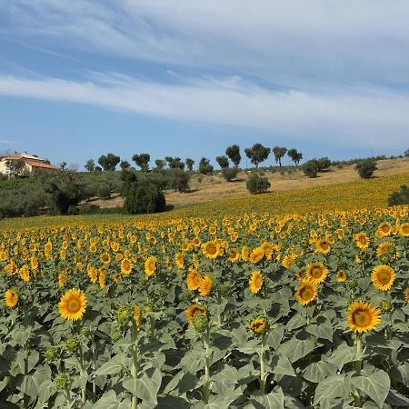 Appartement Girasole à San Marcello  Extérieur photo