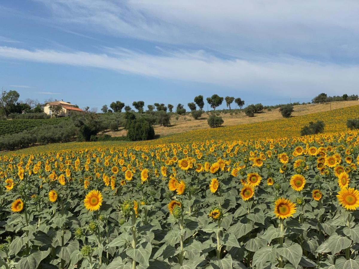 Appartement Girasole à San Marcello  Extérieur photo